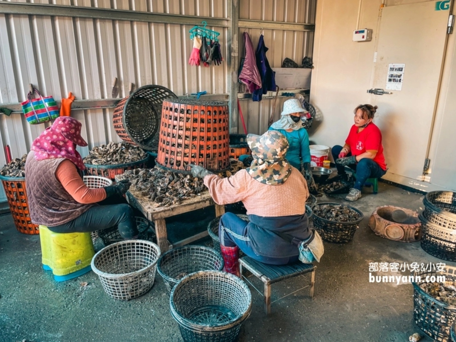 塭ㄚ烤蚵呷通海烤蚵200元吃到飽｜嘉義暴風式炭火烤蚵隨你無限吃