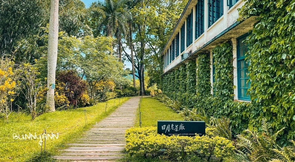南投農場