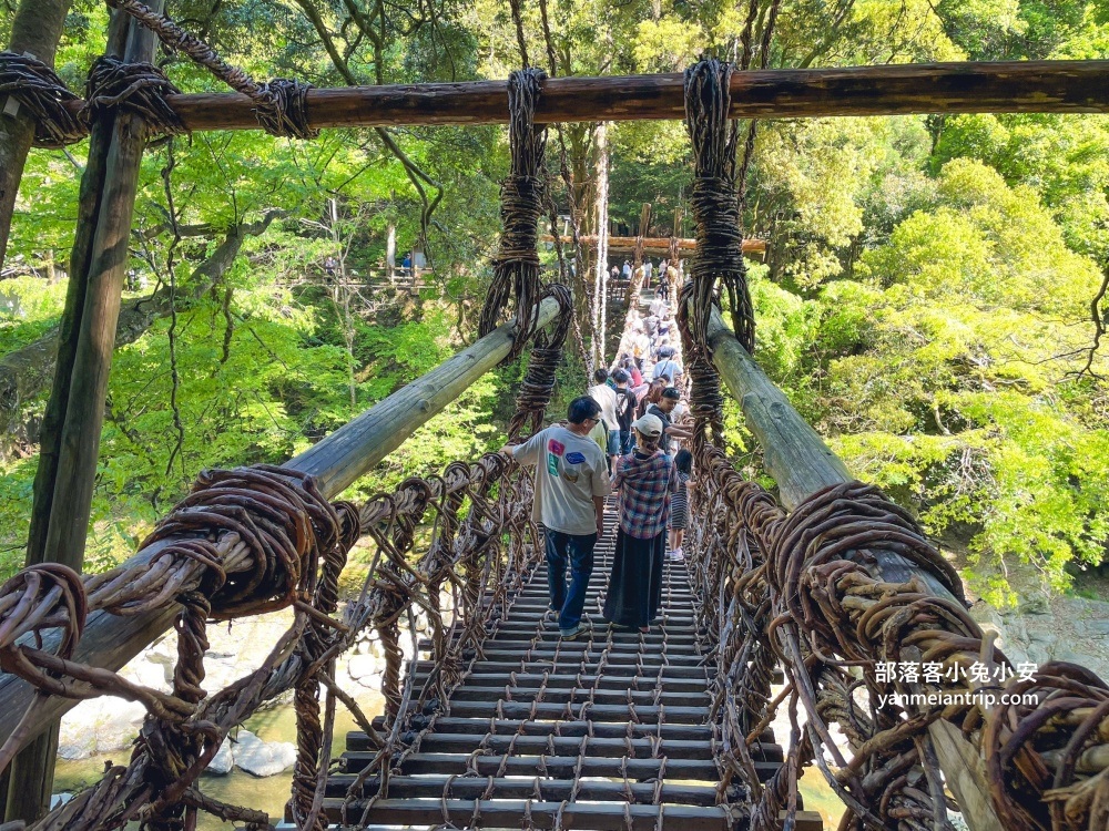 祖谷藤蔓橋🌿用藤蔓編織而成跨溪吊橋，德島限定奇景 @小兔小安*旅遊札記