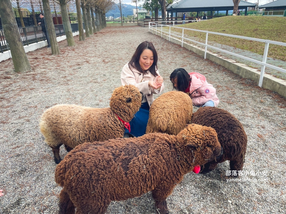 宜蘭三星【樹懶餐廳】有許多可愛動物的親子園地