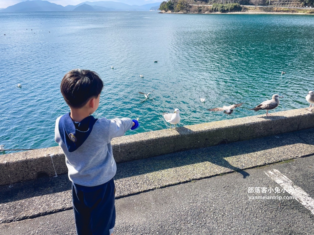 日本京都【伊根灣舟屋遊覽船】小漁村內的優質搭船餵海鷗活動