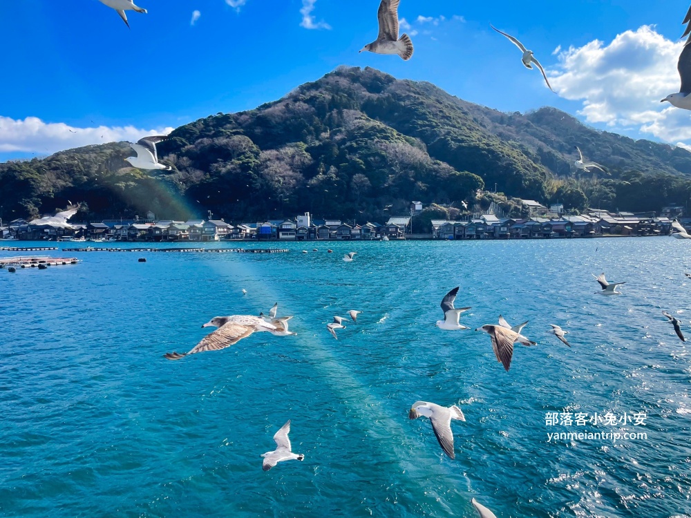 日本京都【伊根灣舟屋遊覽船】小漁村內的優質搭船餵海鷗活動