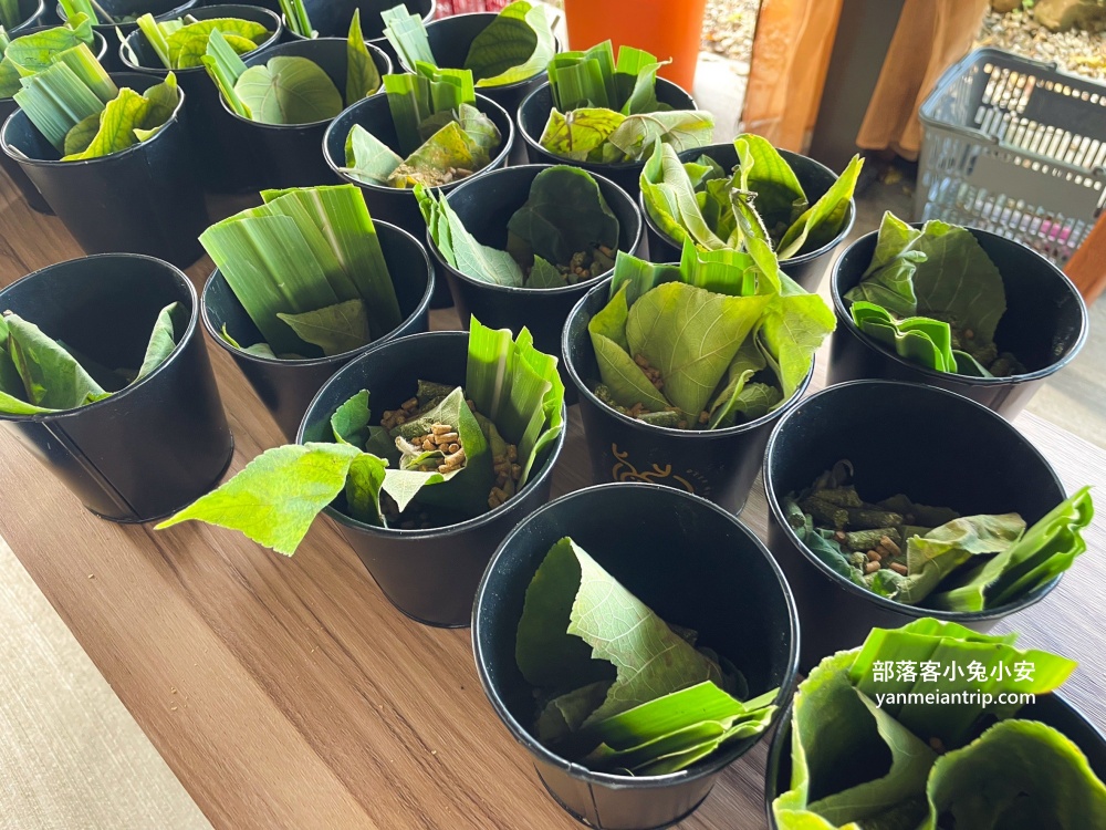 【鹿芝谷生態景觀園區】整個園區以可愛動物與絕美視野為最大亮點