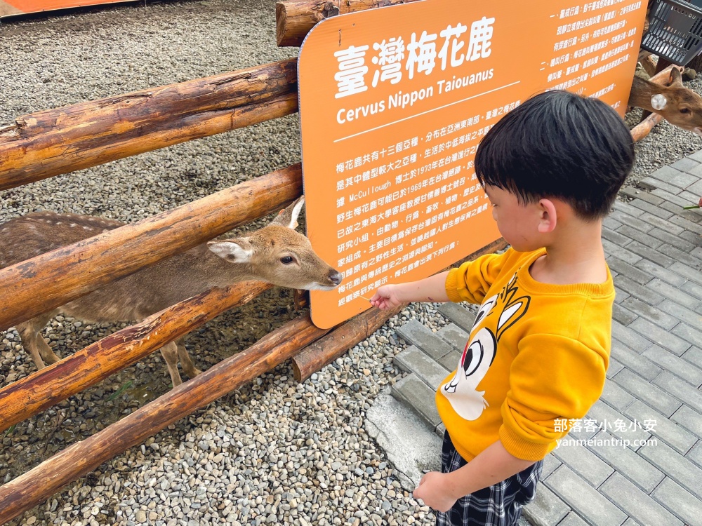 【鹿芝谷生態景觀園區】整個園區以可愛動物與絕美視野為最大亮點