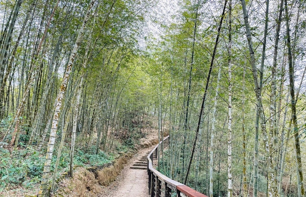 孝子路步道