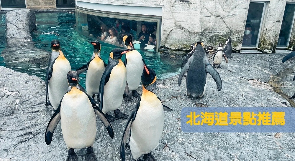 2025北海道自由行五天四夜旅遊懶人包，來北海道就該這樣玩！ @小兔小安*旅遊札記