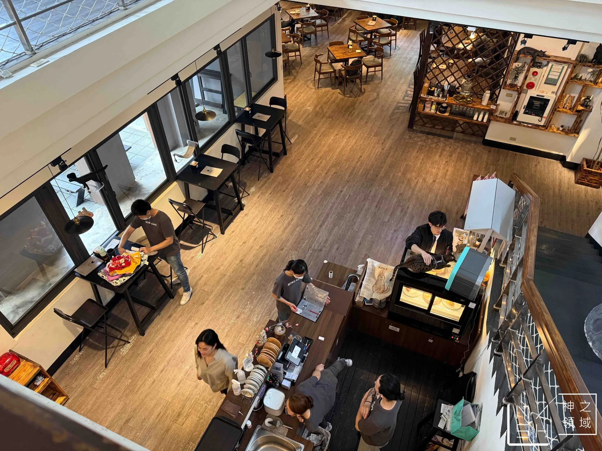 【五股豹豹咖啡】森林系咖啡館，與可愛店貓共度悠閒時光