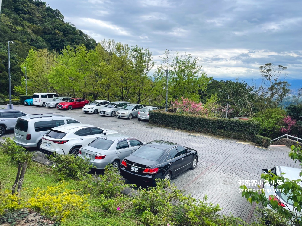 【五股豹豹咖啡】森林系咖啡館，與可愛店貓共度悠閒時光