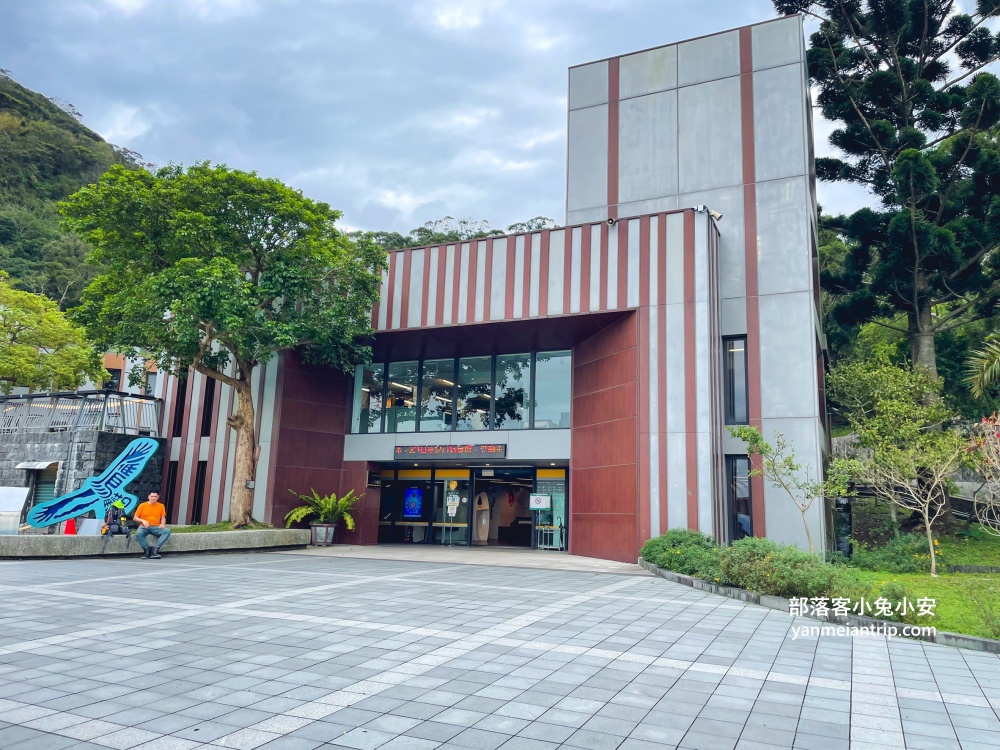 【五股豹豹咖啡】森林系咖啡館，與可愛店貓共度悠閒時光
