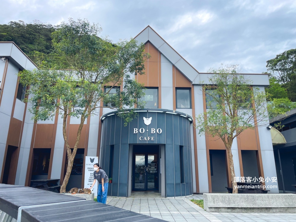 【五股豹豹咖啡】森林系咖啡館，與可愛店貓共度悠閒時光