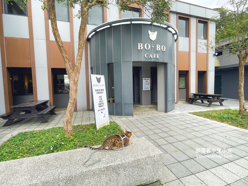 【五股豹豹咖啡】森林系咖啡館，與可愛店貓共度悠閒時光
