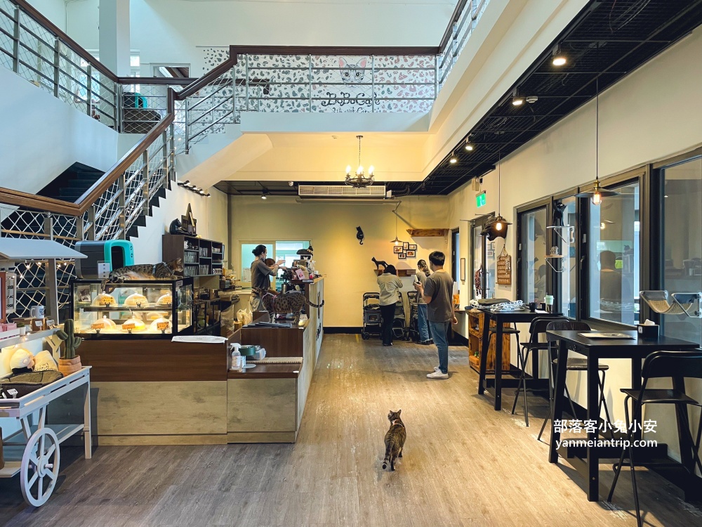 【五股豹豹咖啡】森林系咖啡館，與可愛店貓共度悠閒時光