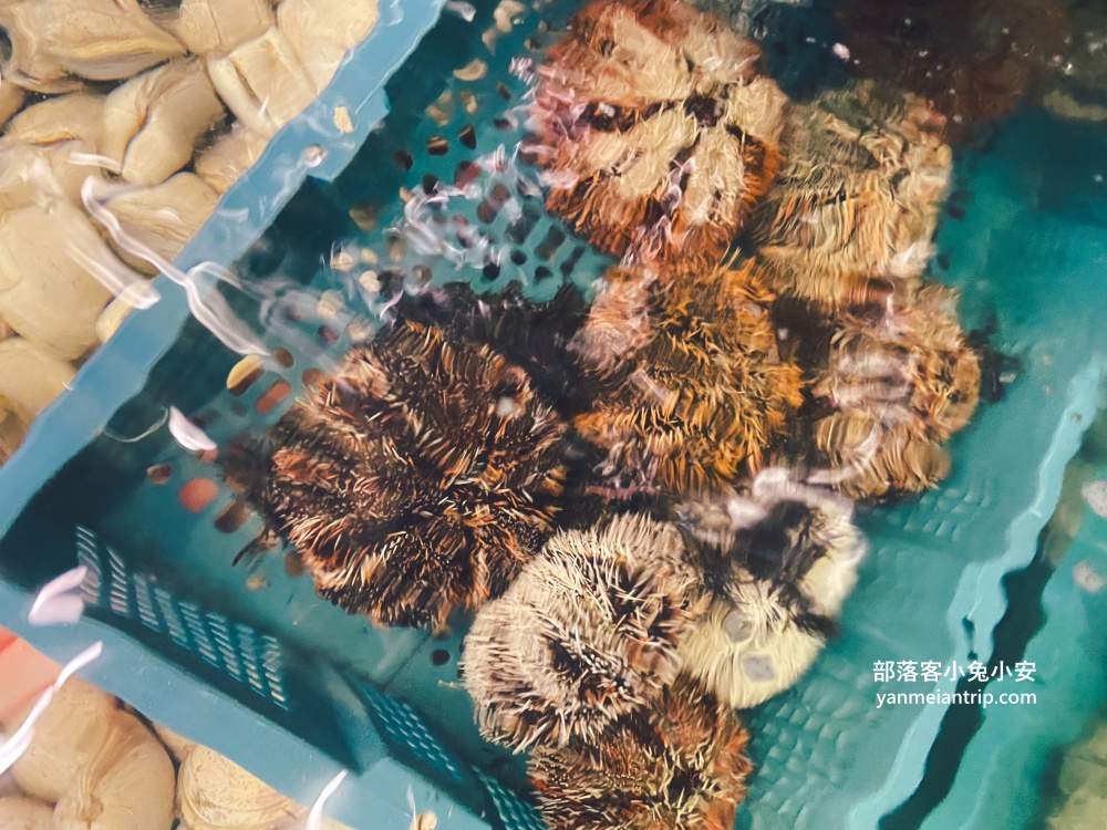 新北萬里【楓味萬里蟹】小漁村內的平價海鮮餐廳