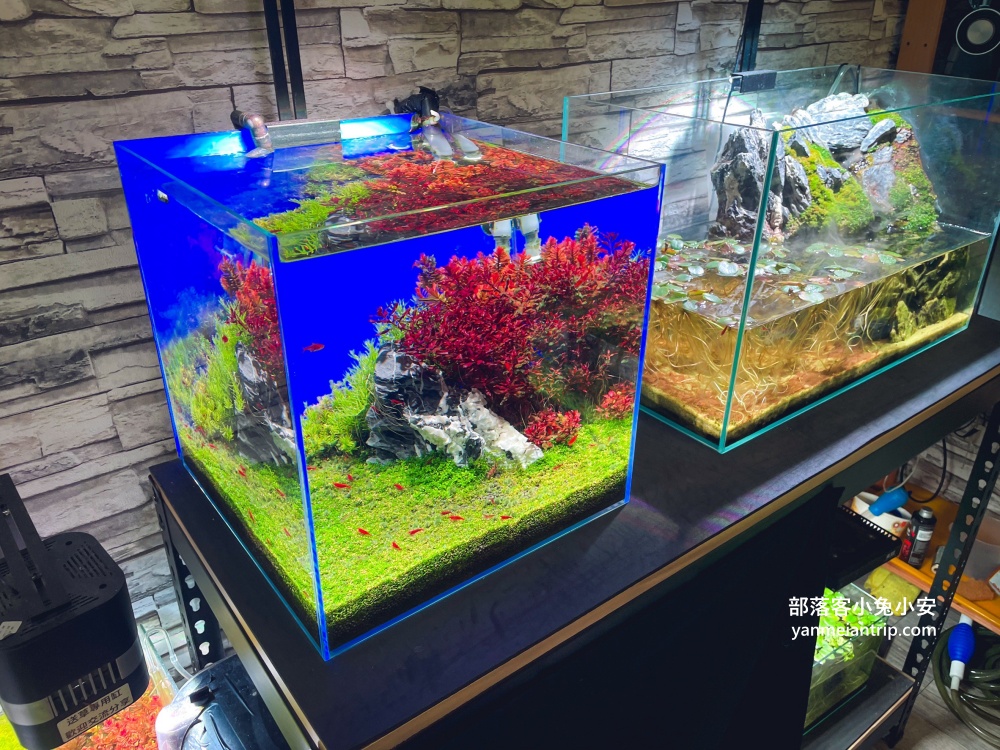 基隆正義路【牛膳坊】小巷弄內的高水準牛肉麵店(環境&菜單)