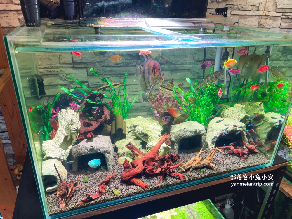 基隆正義路【牛膳坊】小巷弄內的高水準牛肉麵店(環境&菜單)