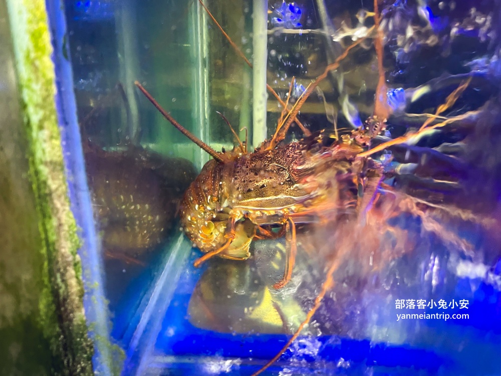 基隆【呷尚鱻餐廳】不在漁港邊，卻是海鮮平價的料理餐廳