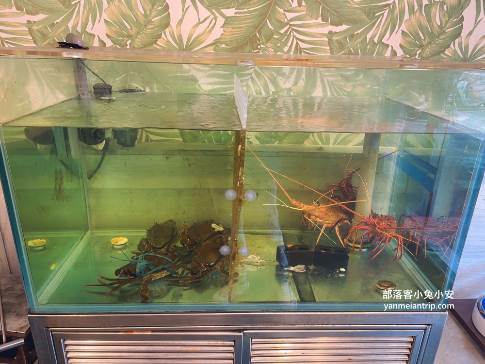 【茂園餐廳】走進來一定要點白斬雞、花枝丸跟鹹冬瓜蒸午仔魚，好好吃!!