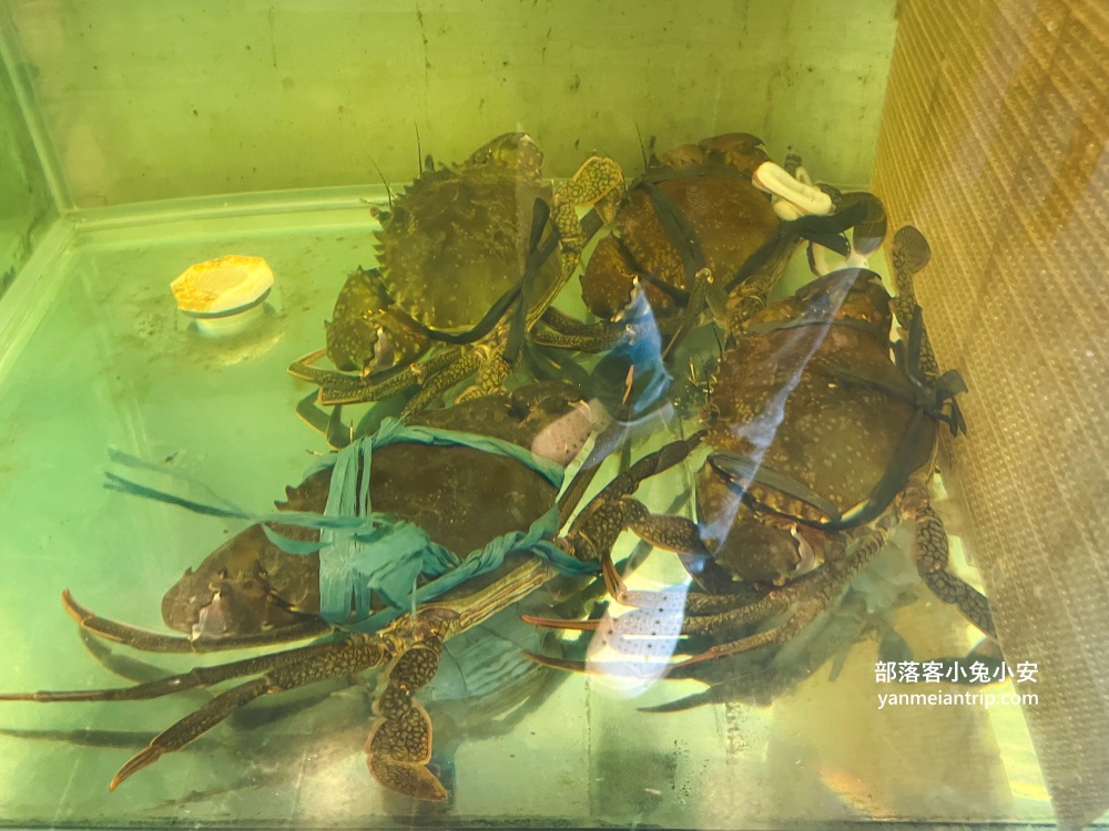 【茂園餐廳】走進來一定要點白斬雞、花枝丸跟鹹冬瓜蒸午仔魚，好好吃!!
