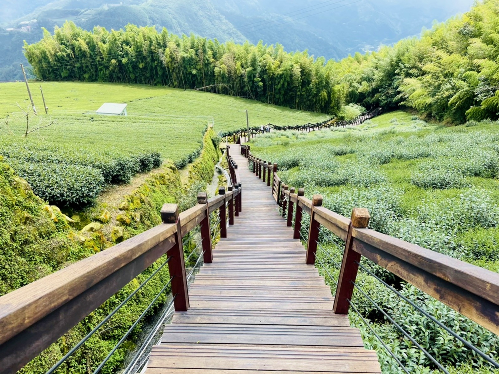 霞之道