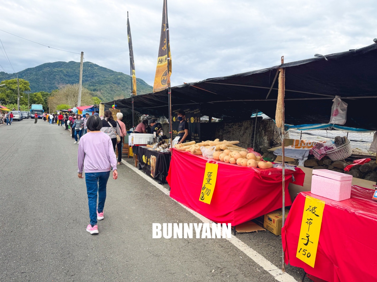南投中寮2026【瑰蜜甜心玫瑰園】粉紅色麝香木花海山丘，交通方式與門票介紹