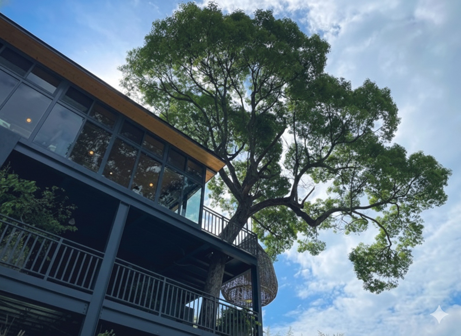 紫鳶山城竹林海餐廳 紫鳶山城竹林海餐廳