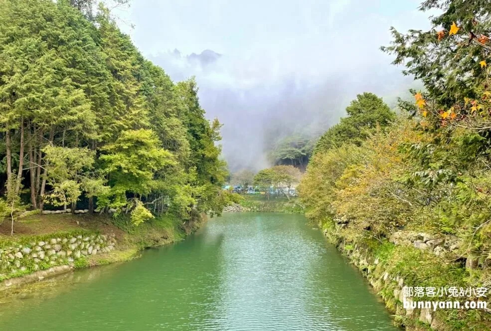 杉林溪森林生態渡假園區