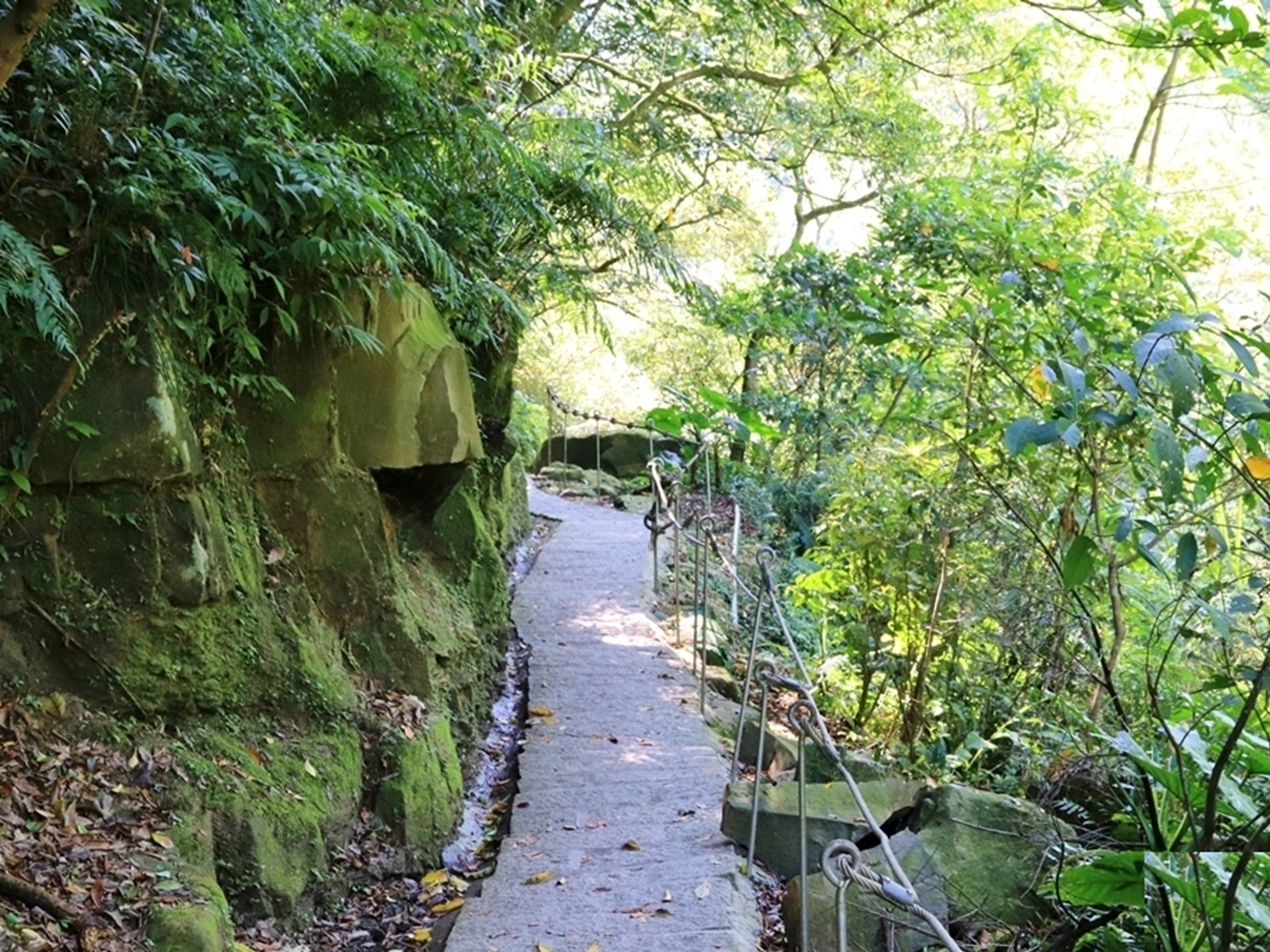 姜子寮絕壁步道