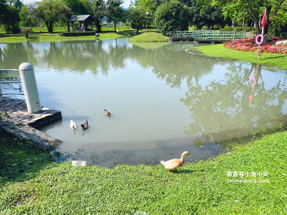 安農溪分洪堰自然生態園區，朝向溪流的步道，來回半小時輕鬆走完。