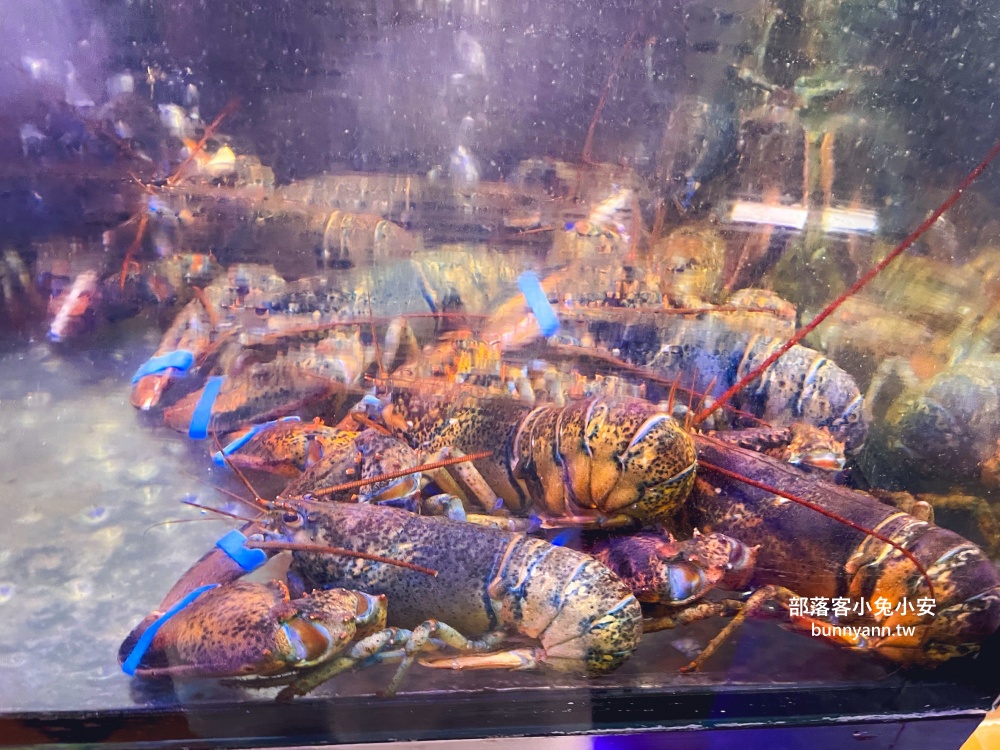 永和美食推薦【小海水產】永和民生店龍蝦海鮮火鍋(2025菜單)