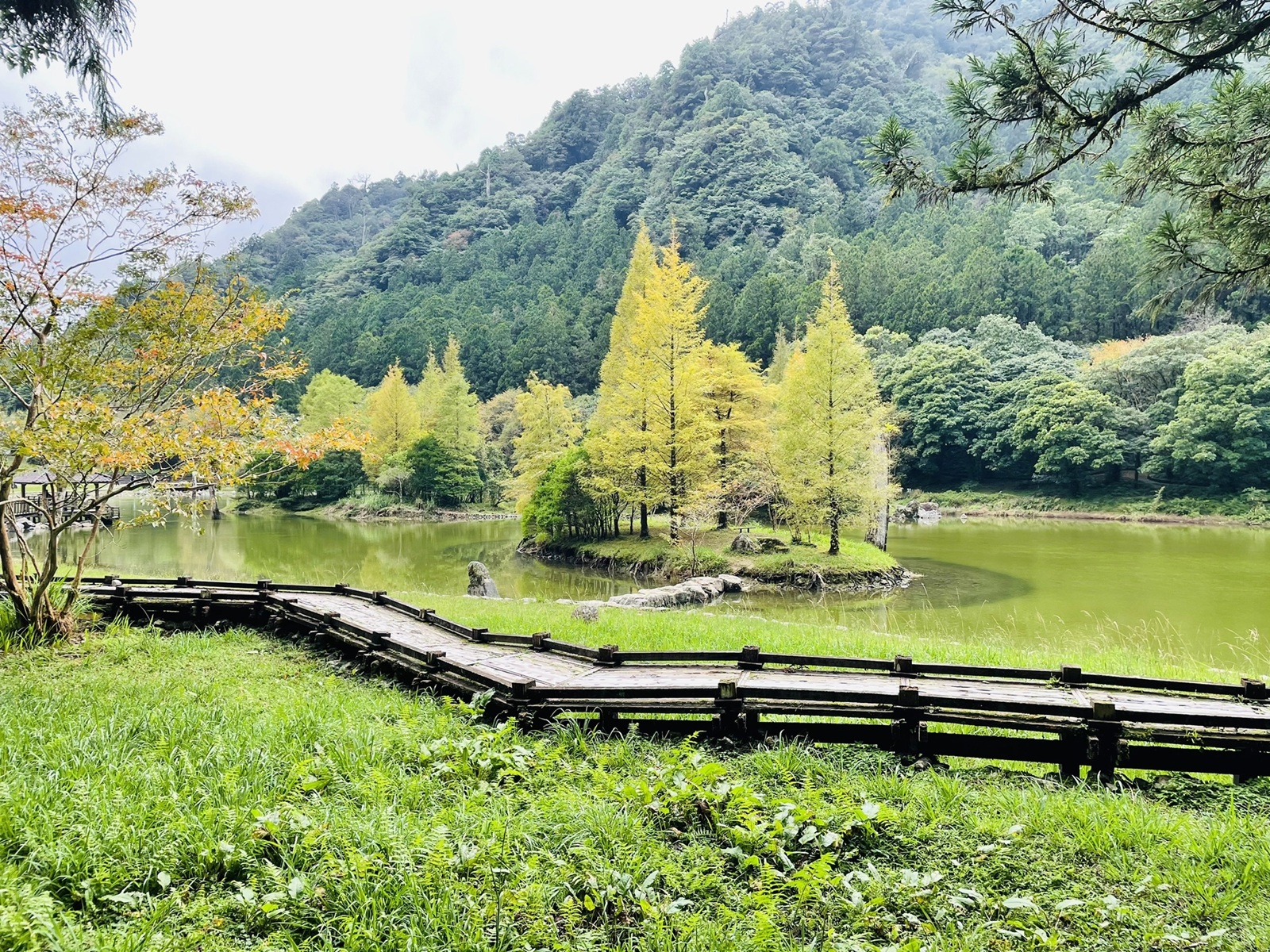 明池森林遊樂區
