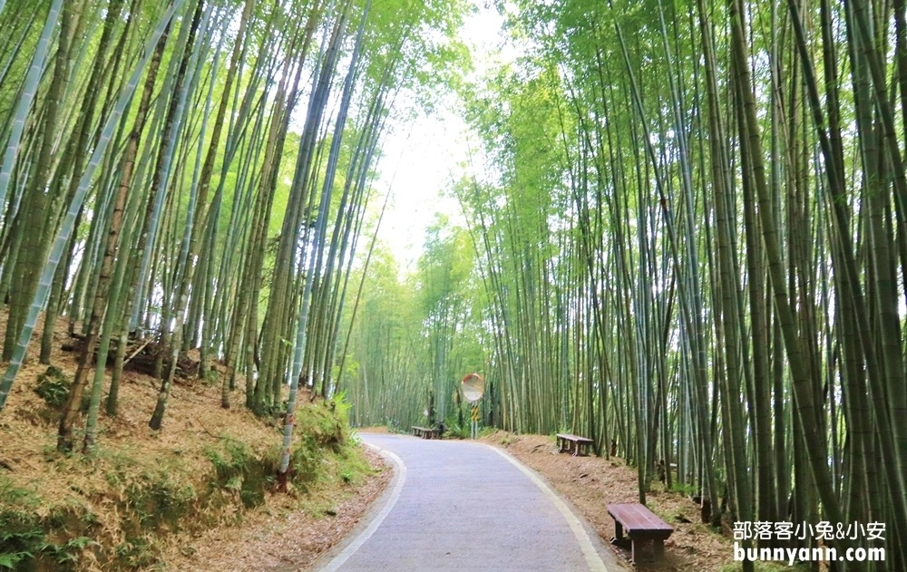 瑞里綠色隧道