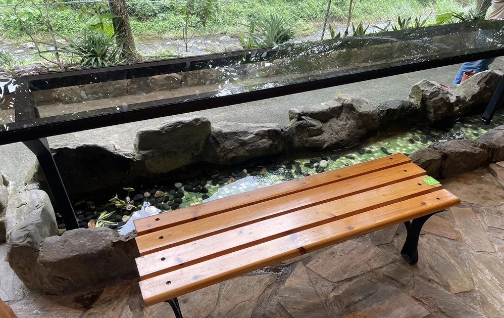 流水森林