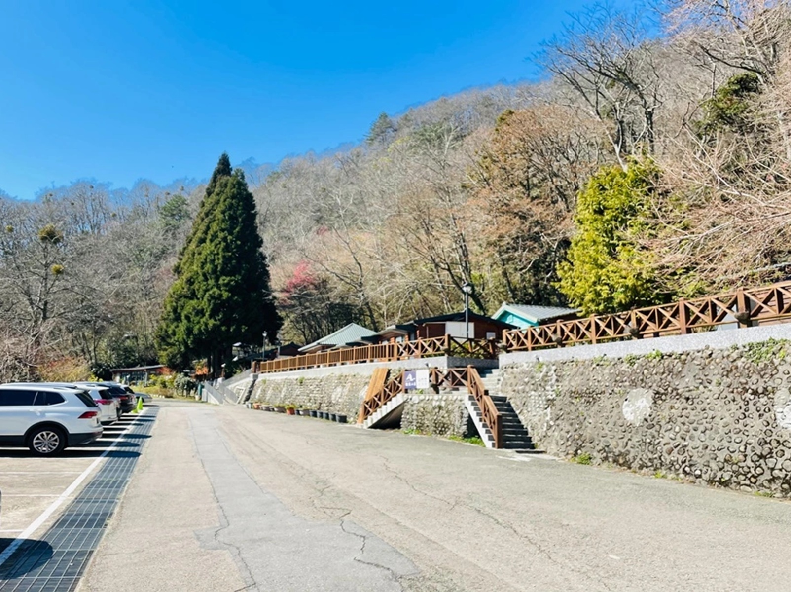 泰安鄉【苗栗觀霧山莊】高山上的大自然林間步道，往返半小時輕鬆漫步山林