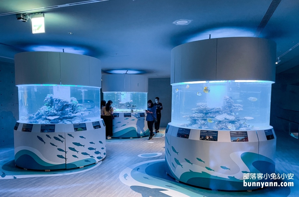 基隆【潮境智能海洋館】最強室內水族館，門票、優惠、交通全攻略 @小兔小安*旅遊札記