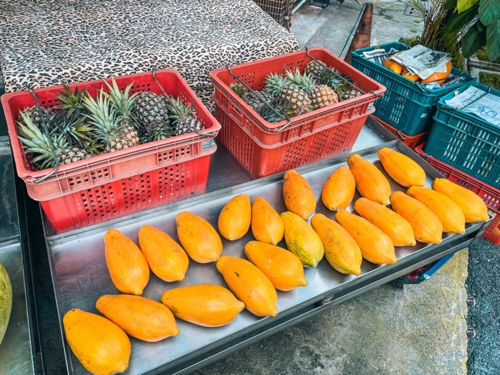 秋林牛乳大王 秋林牛乳大王