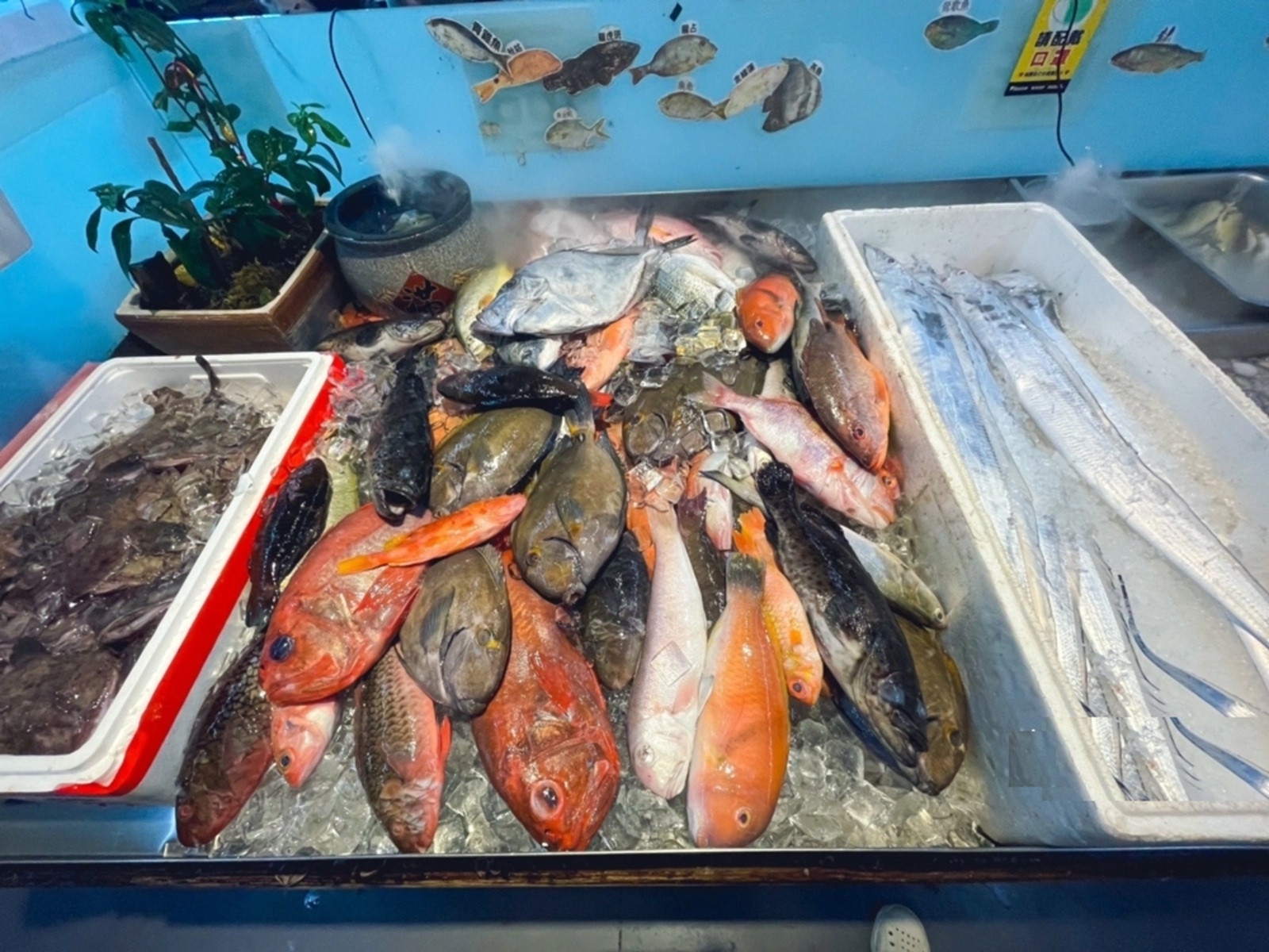 海世界複合式碳烤林口店