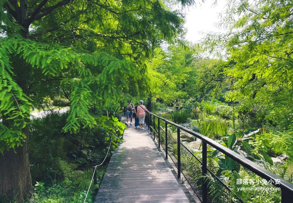 台北市【大安森林公園】來回不用半小時，輕鬆賞湖泊美景與親子遊戲區 @小兔小安*旅遊札記