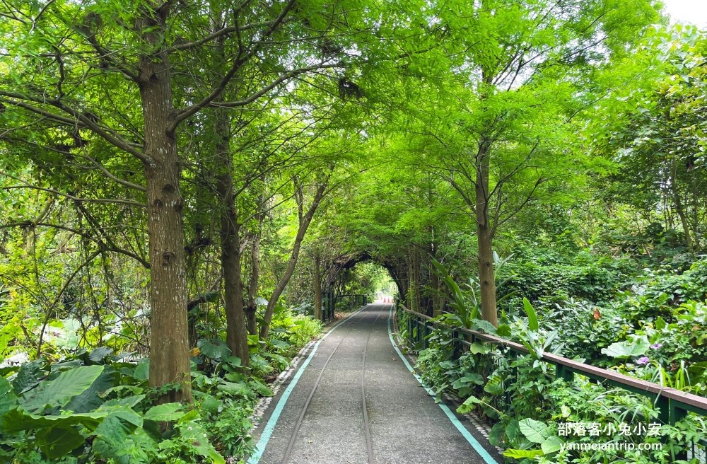 雲林【古坑綠色隧道】假日市集吃美食、暢遊綠色單車廊道、鵝媽媽鵝童驛站免費逛 @小兔小安*旅遊札記