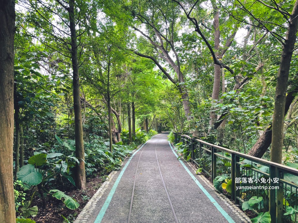 雲林【古坑綠色隧道】24小時開放的自行車道,市集、小吃、樂園每樣都好玩!