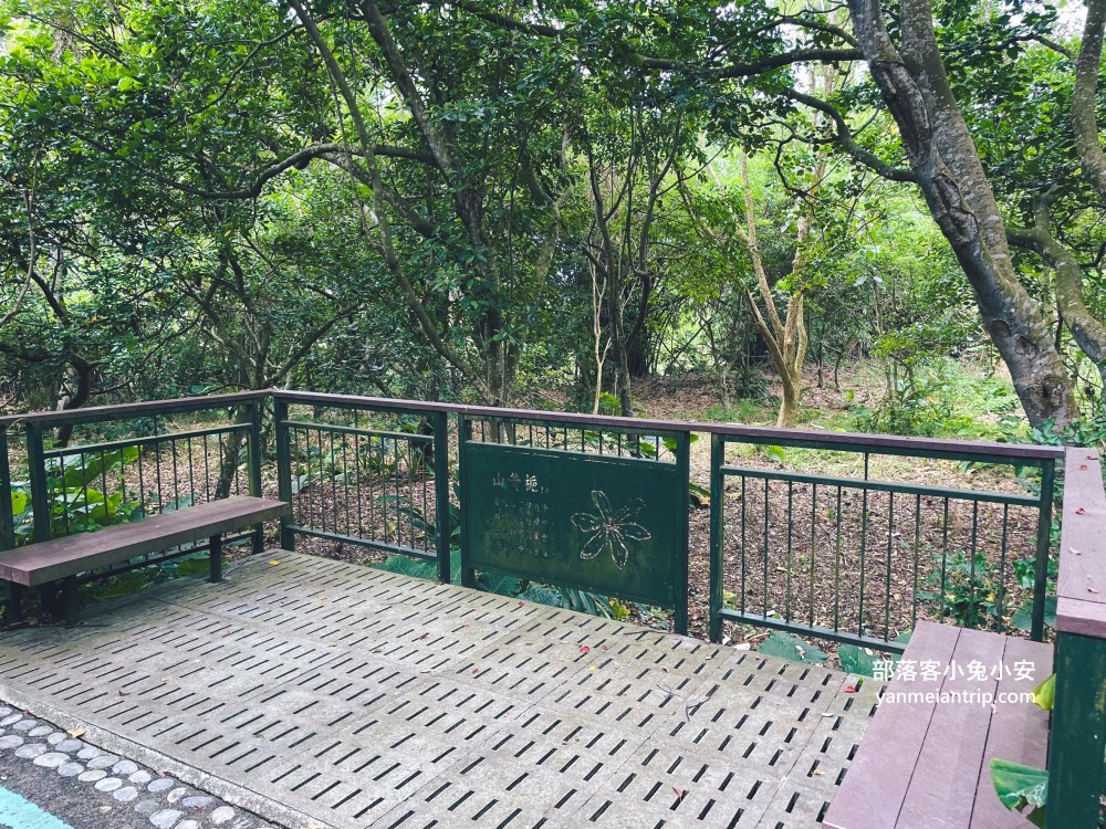 雲林【古坑綠色隧道】24小時開放的自行車道，市集、小吃、樂園每樣都好玩!