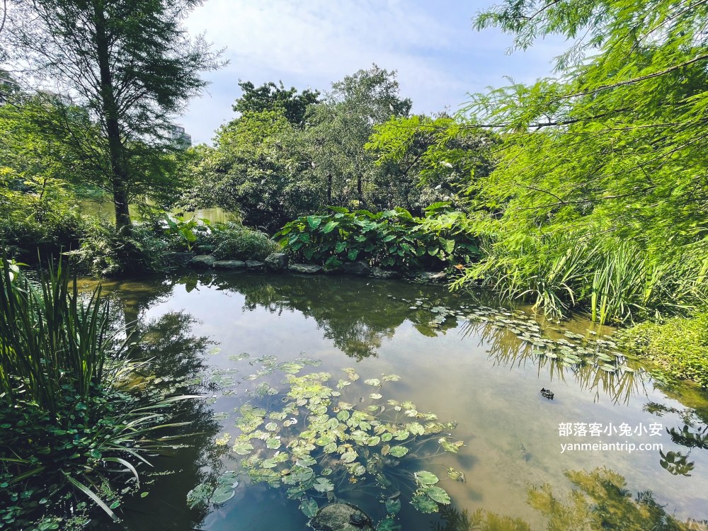 台北市【大安森林公園】來回不用半小時，輕鬆賞湖泊美景與親子遊戲區