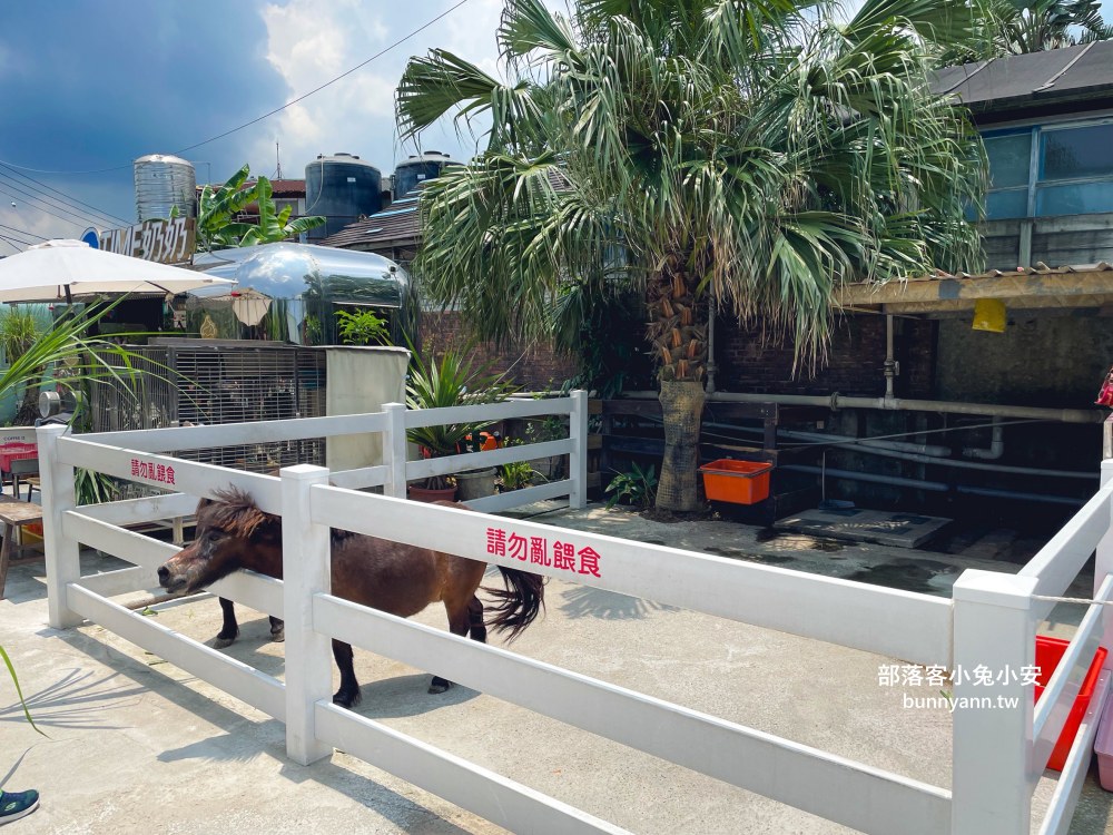 金山【Time奶奶樹屋咖啡樂園】100元低消親子樂園，動物、咖啡和樹屋每樣都好玩