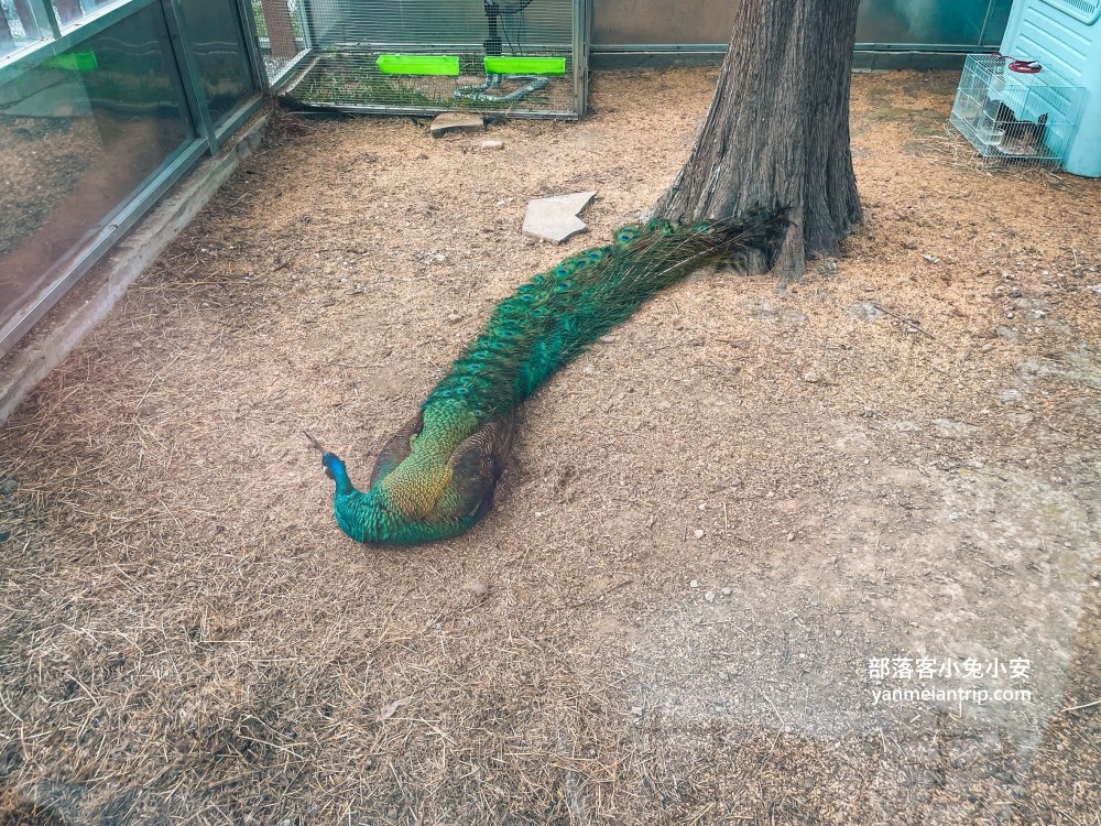 水与松森林莊園(水与松萌萌園)門票+禮物兌換券+星巴克抵用金(優惠)