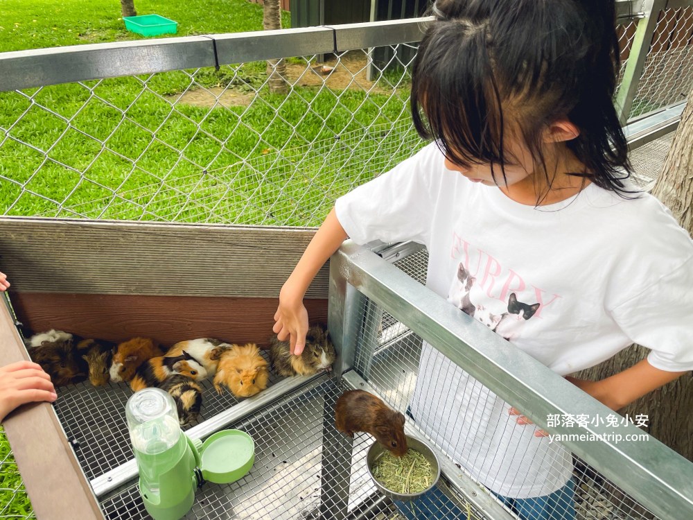 水与松森林莊園(水与松萌萌園)門票+禮物兌換券+星巴克抵用金(優惠)