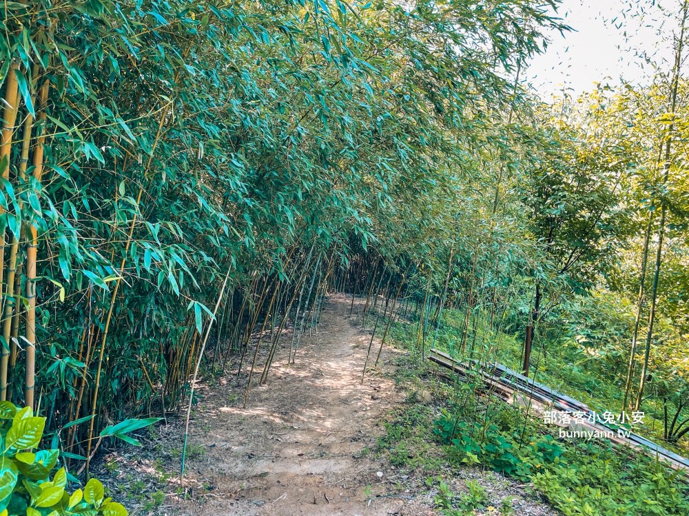 苗栗【紫鳶山城覓境莊園】能發現唯美的竹林步道、苗栗版抹茶山和歐洲小屋等豐富元素