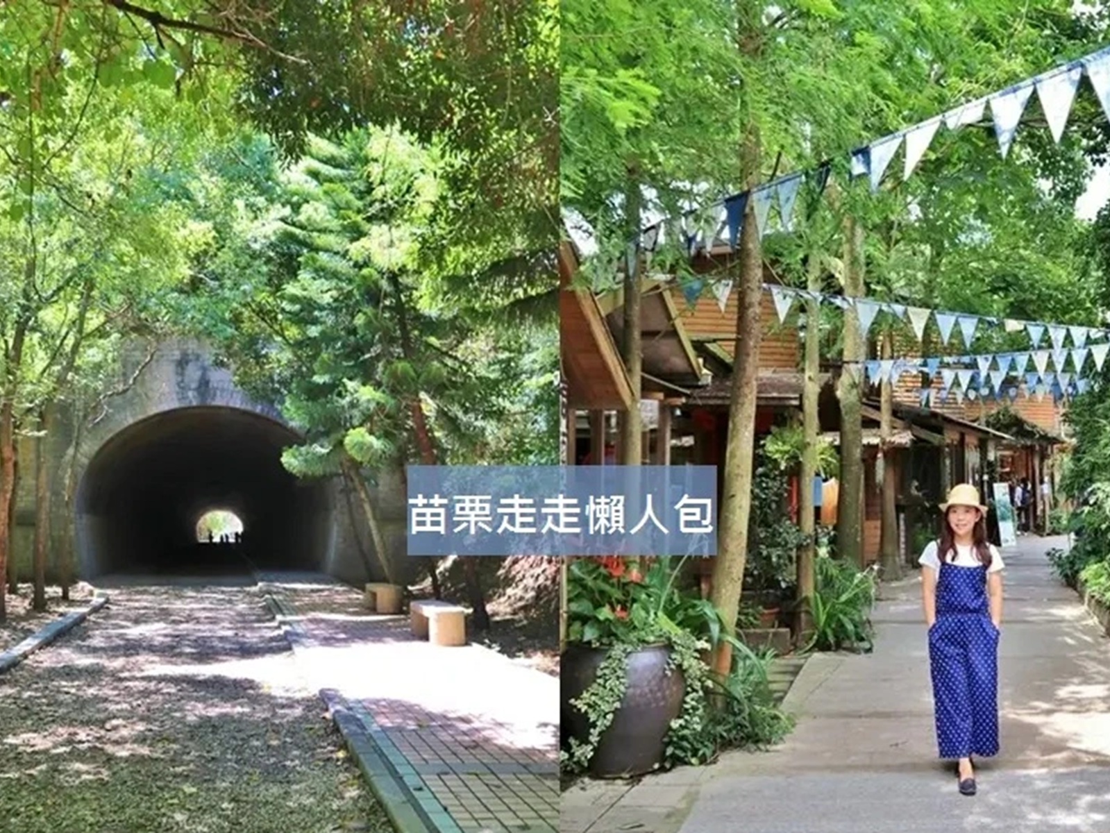 苗栗森林步道推薦