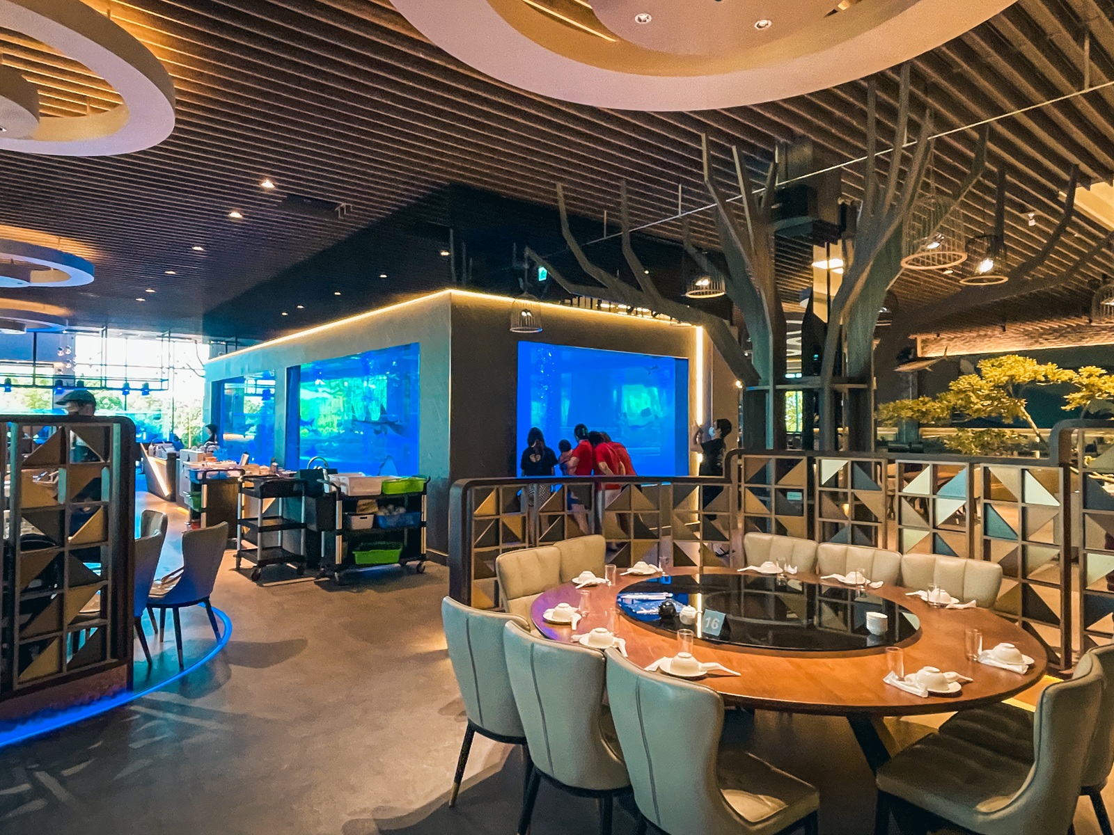 古坑【八斗子海鮮餐廳】每週二公休海產店，龍蝦、生魚片和小卷米粉都好吃! @小兔小安*旅遊札記