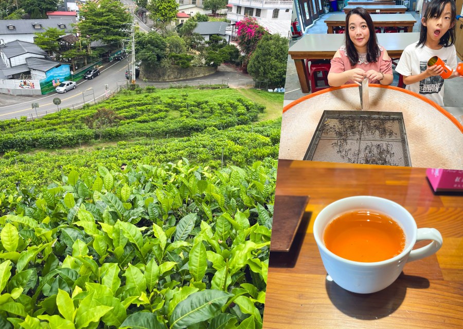 HUGOSUM和菓森林紅茶莊園｜半日茶師小旅行，TEAGE一頁茶傳習所DIY紅茶體驗真好玩 @小兔小安*旅遊札記