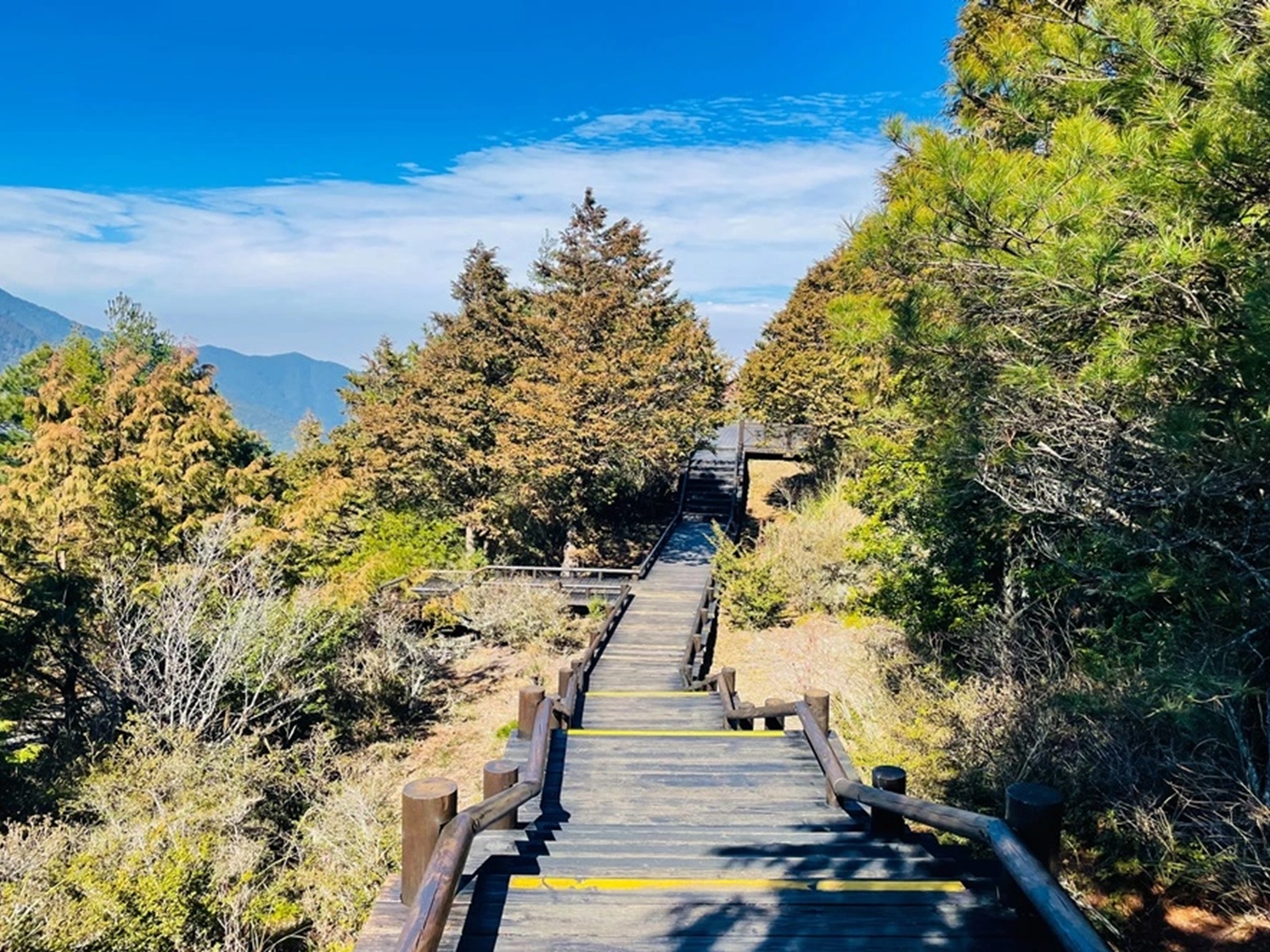 觀霧國家森林遊樂區
