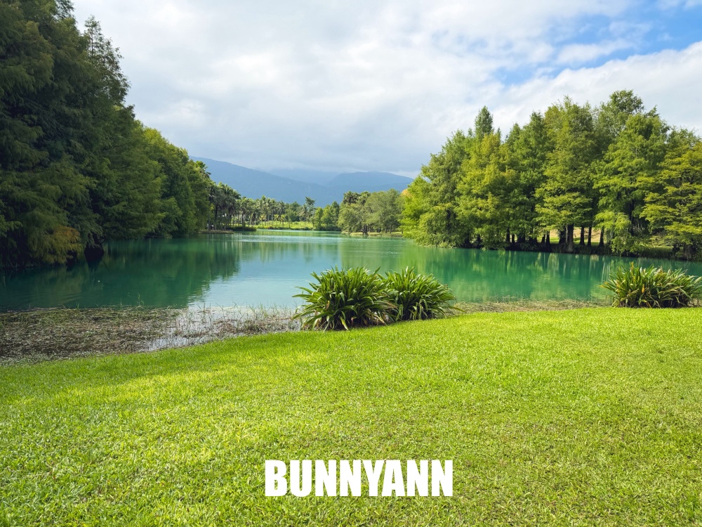 本來以為只是普通湖泊，沒想到蒂芬妮湖美得像仙境，連落雨松步道都意外好拍